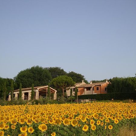 Vila Rustico Del Conero Camerano Exteriér fotografie