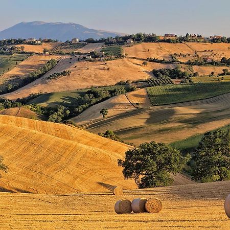 Vila Rustico Del Conero Camerano Exteriér fotografie