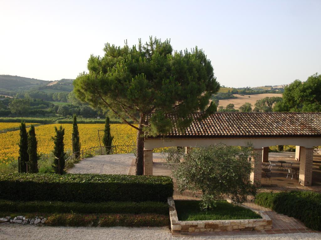 Vila Rustico Del Conero Camerano Exteriér fotografie