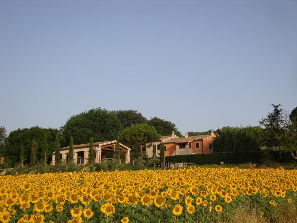 Vila Rustico Del Conero Camerano Exteriér fotografie