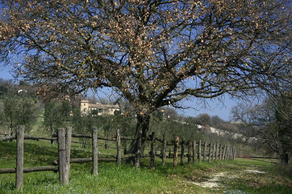 Vila Rustico Del Conero Camerano Exteriér fotografie