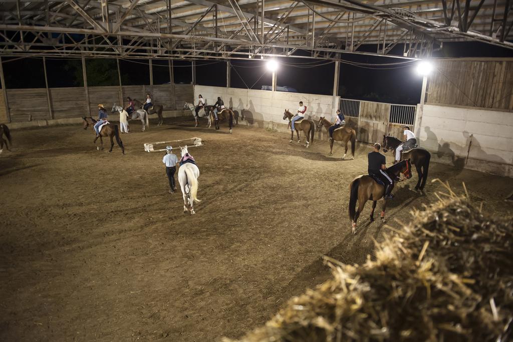 Vila Rustico Del Conero Camerano Exteriér fotografie