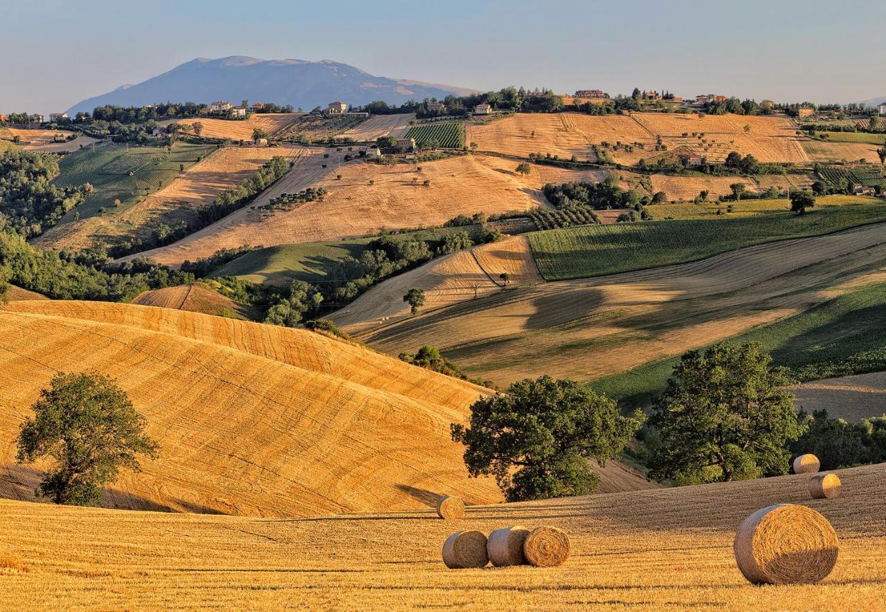 Vila Rustico Del Conero Camerano Exteriér fotografie